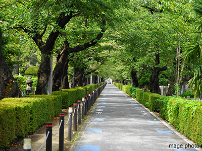 青山霊園｜ザ・パークハウス麻布外苑西通り　