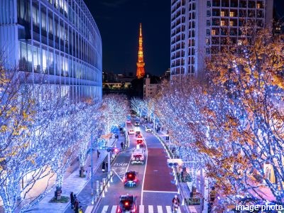 けやき坂イメージ｜ザ・パークハウス麻布外苑西通り　