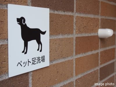 ペット足洗い場｜ザ・パークハウス麻布外苑西通り　
