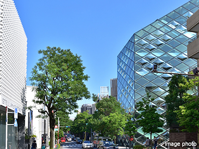 南青山みゆき通り｜ザ・パークハウス麻布外苑西通り