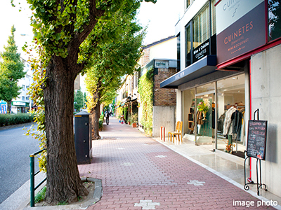 プラチナ通り｜ザ・パークハウス麻布外苑西通り